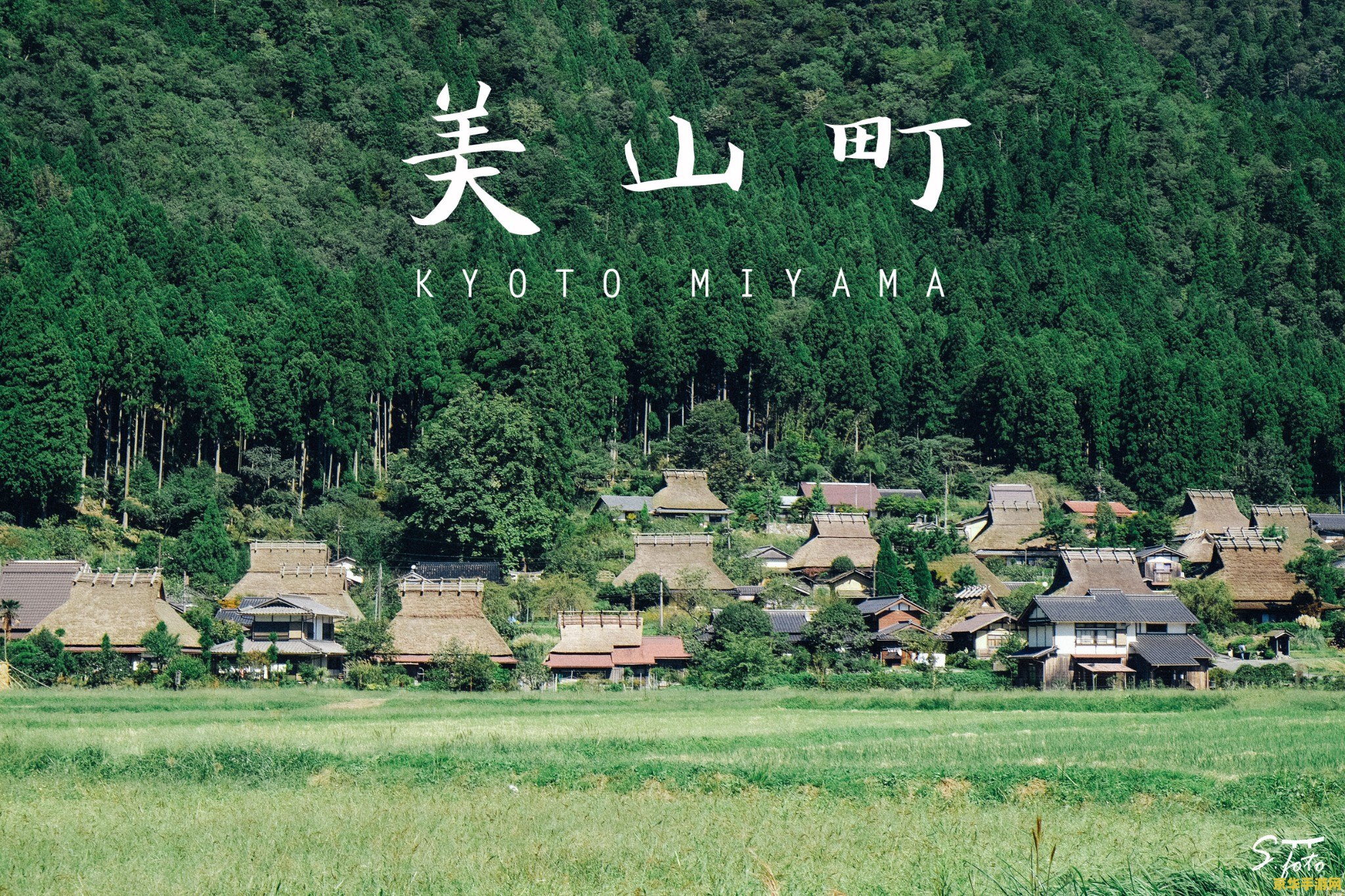 美國亞馬遜購物攻略有哪些？美國亞馬遜購物攻略大全