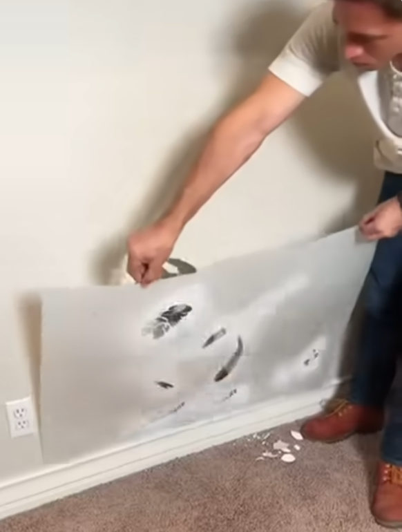 海外短視頻平臺有哪些？2023國外最新最熱門前13個平臺推薦