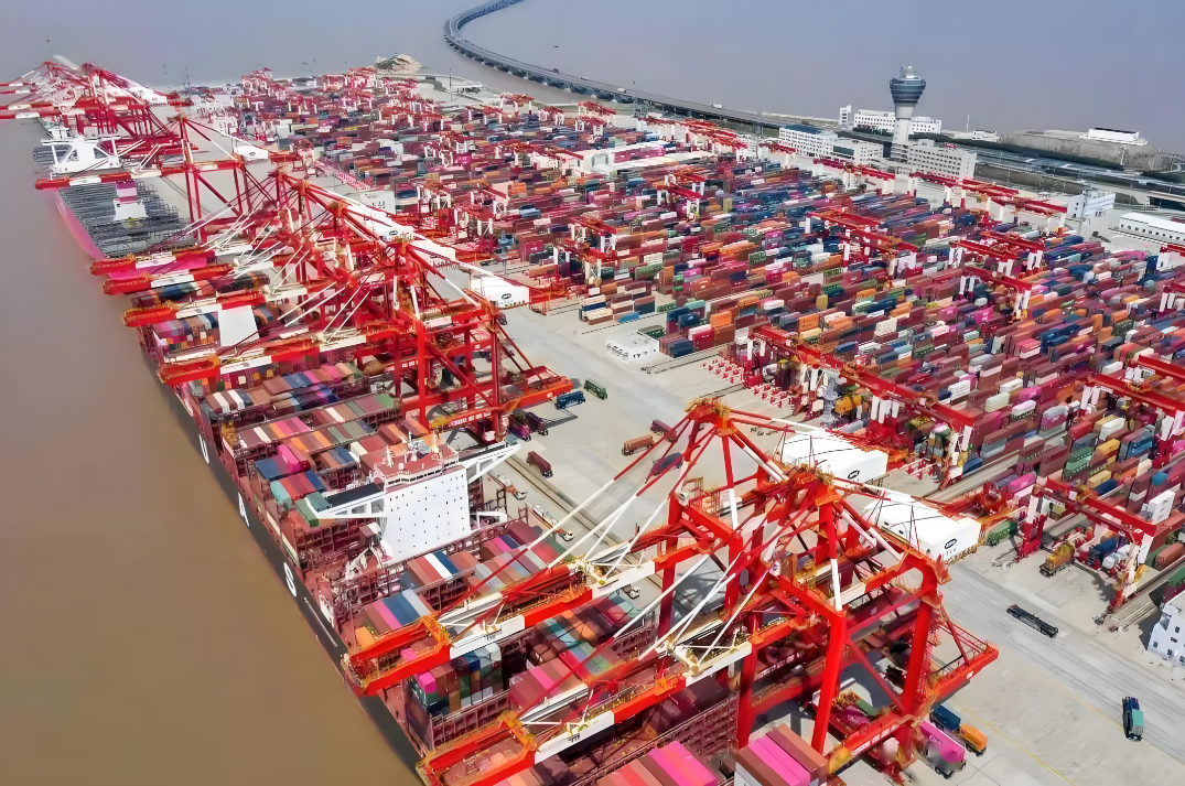 集裝箱類型解析：大柜、小柜與雙背的區別