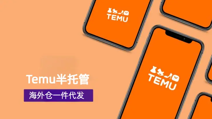 Temu 物流發(fā)貨全攻略：流程與注意事項(xiàng)