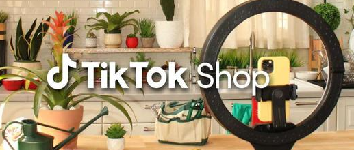 Tiktok Shop跨境電商平臺嚴懲違規行為（超200萬賣家用戶被關閉）