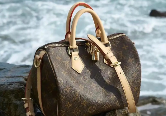 菲律賓查獲價值超過5億比索的LV仿制品(2024年前十個月查獲走私貨物超720億比索) 菲律賓查獲價值超過5億比索的LV仿制品(2024年前十個月查獲走私貨物超720億比索)