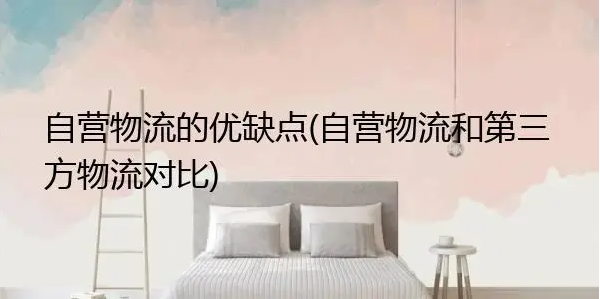 自營物流和第三方物流的優缺點(第三方物流的利弊分享) 自營物流和第三方物流的優缺點(第三方物流的利弊分享)