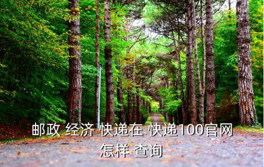 郵局經濟快遞查詢(解析如何查詢國內快遞包裹詳細信息) 郵局經濟快遞查詢(解析如何查詢國內快遞包裹詳細信息)