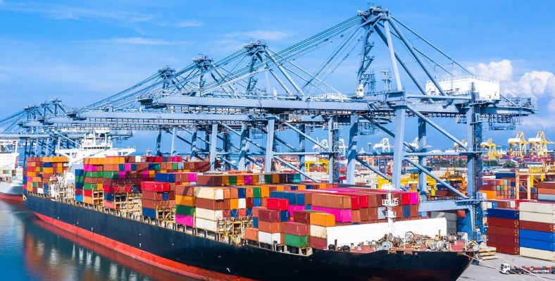 突發！大批中國貨物在歐洲被扣，480集裝箱，涉及7億歐元大案（國際海運新聞資訊）