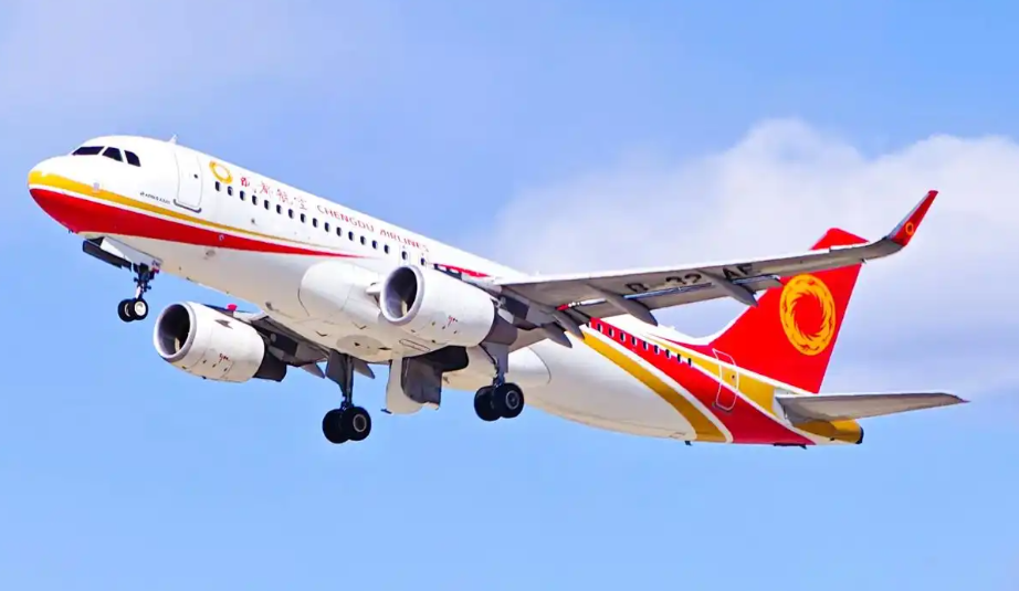 貨物進倉后需要做什么?空運進倉后的關鍵注意事項 貨物進倉后需要做什么?空運進倉后的關鍵注意事項