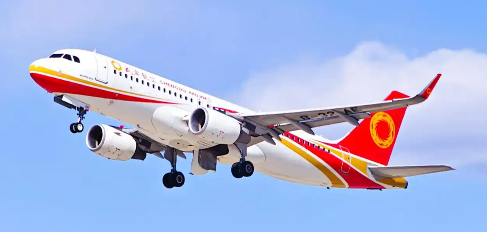 國際空運中“目的港清關延誤”的常見原因有哪些?如何解決