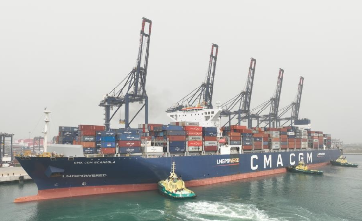 海運中的“滯報金”是什么（國際海運如何避免產生滯報金）